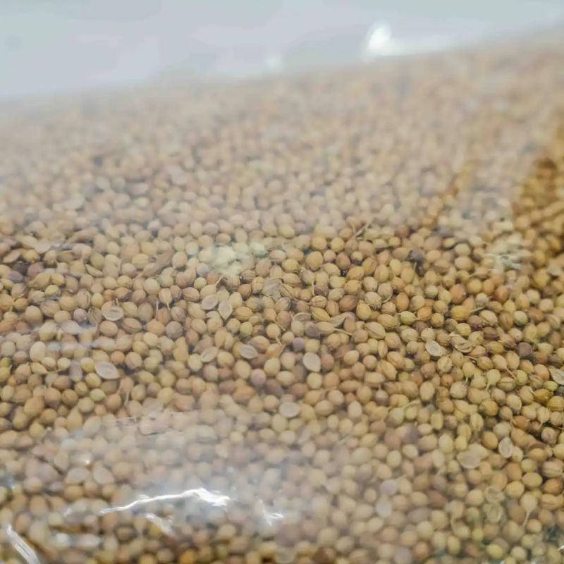 Coriender Seeds(1kg)