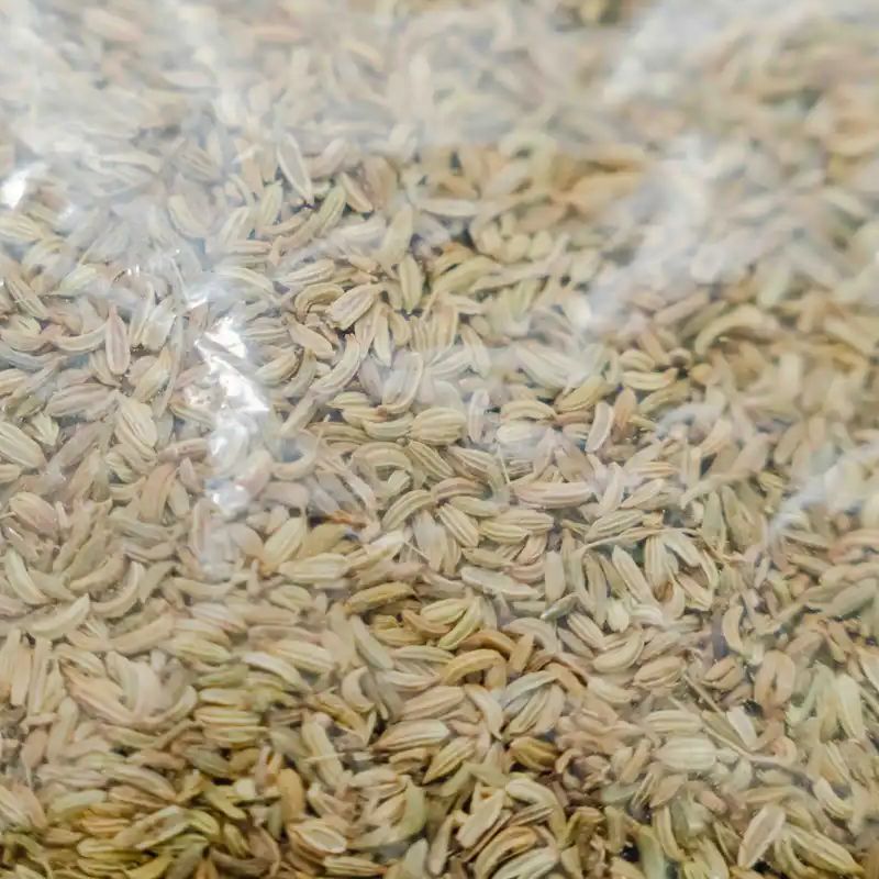 Fennel Seeds