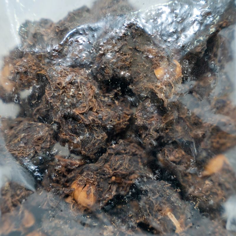 Dried Amala (0.100gm)