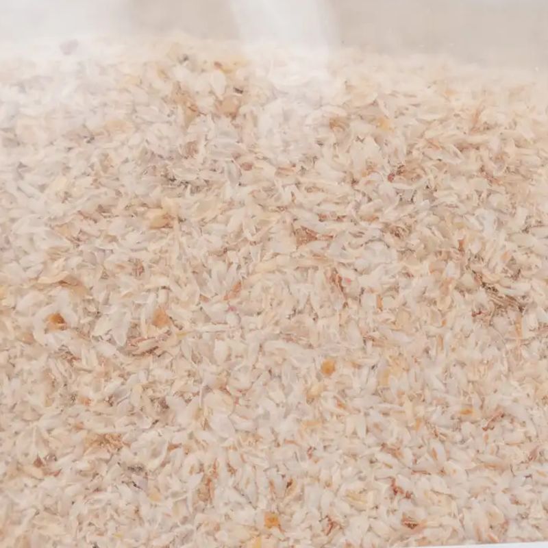 Isabgol 100gm