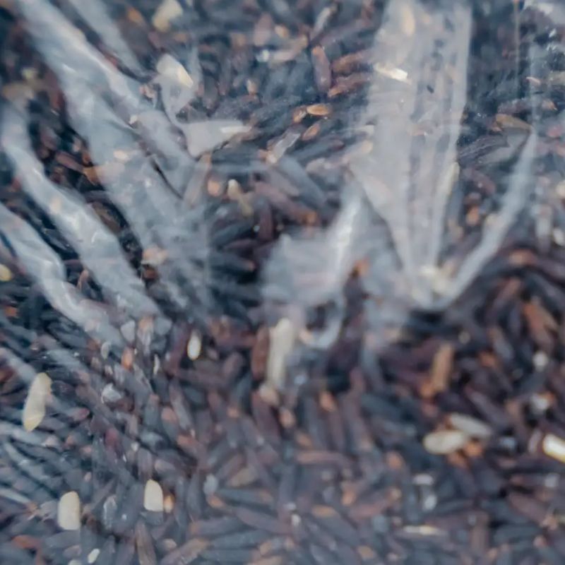 Black Rice(500gm)