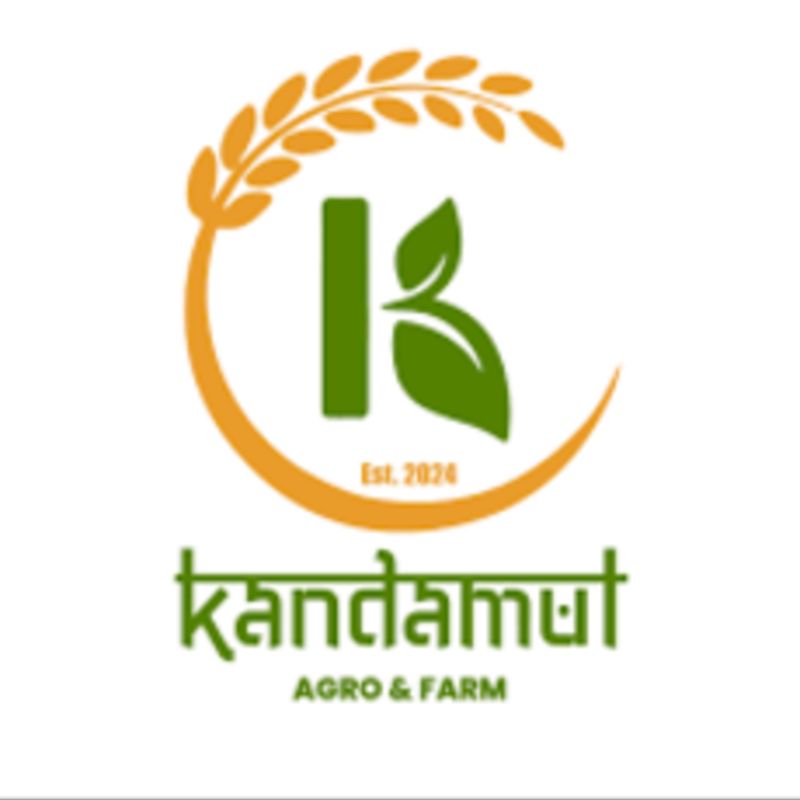 Black Pepper Powder(1ps)