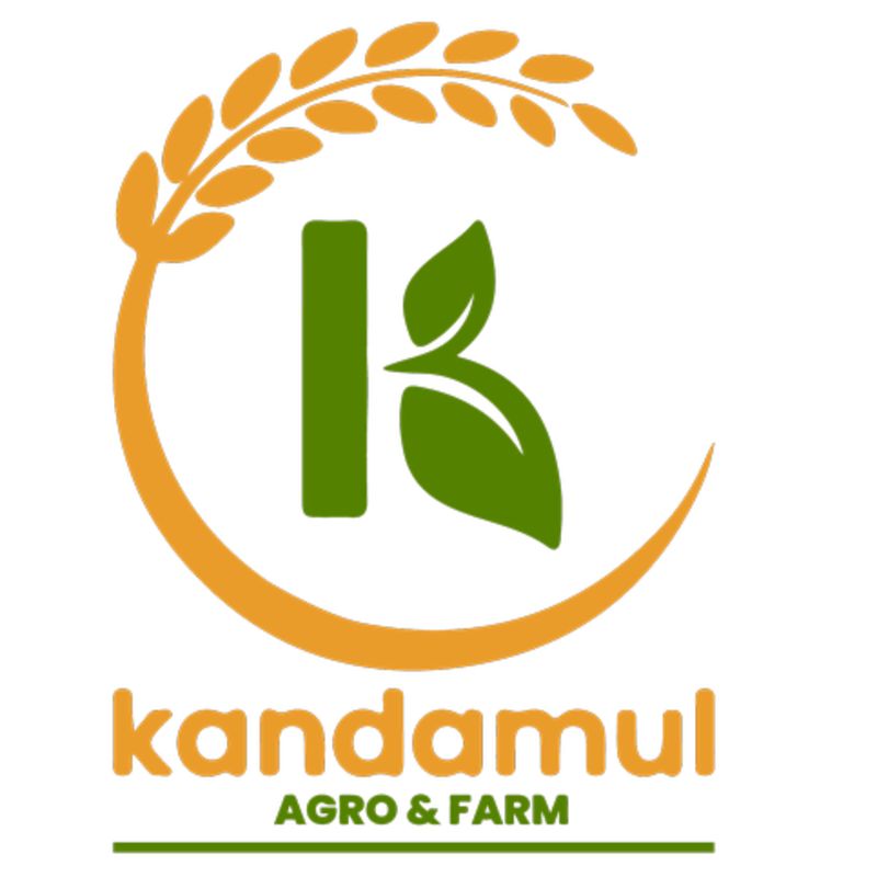 Jumla ko kalo simi piseko daal(500gm)