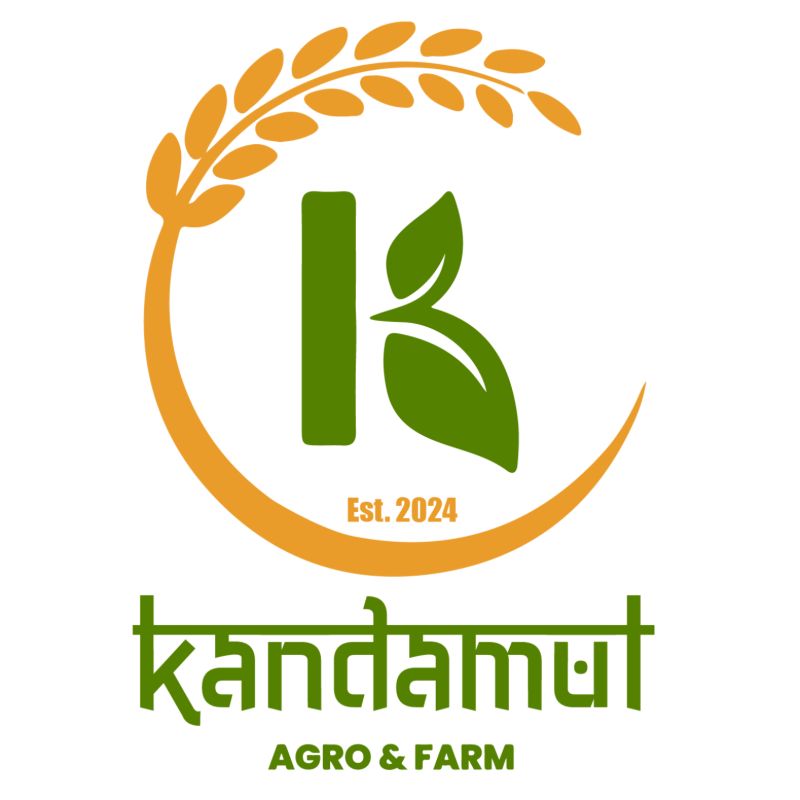 Pumpkin Seeds (250gm)