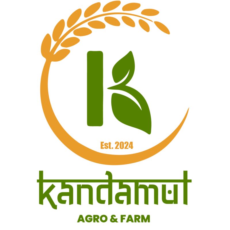 Taichin Chiura (half kg)